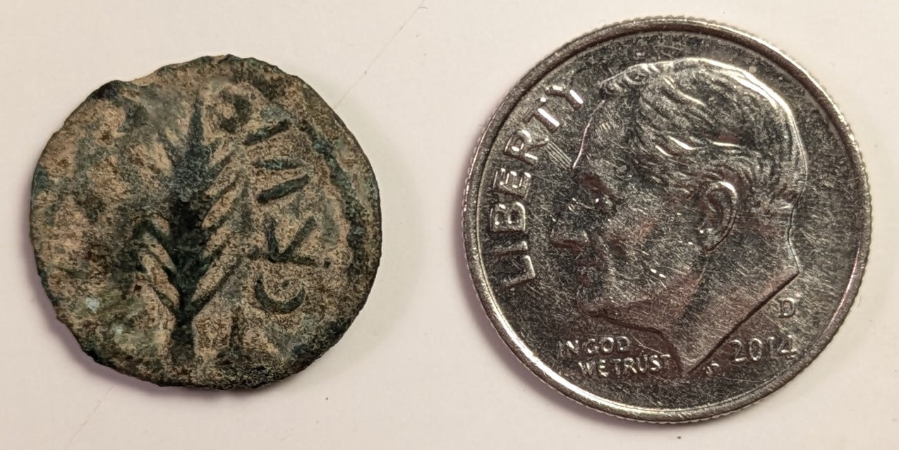 JUDAEA, Porcius Festus, Procurator under ~ Nero. 59-62 ~ Æ Prutah (1.72g) ~ Legend with wreath. (Virtually unreadable) ~ Retrograde legend around palm branch LE KAICAPOC (clear) ~ H-1351e ~ Poor/aVF