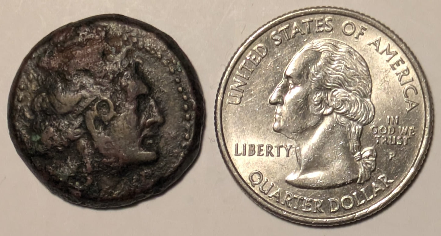 PTOLEMAIC EGYPT, Cyrenaica, Ptolemy IV to Ptolemy VIII ~ 221-140 BC ~ Æ22 (7.43g) ~ Diademed head of Ptolemy I right in dotted border ~ Female head (Libya?) right, cornucoia below chin ~ SNG Cop-442, SG-7882 ~ Fine, some encrustation and light scr’s
