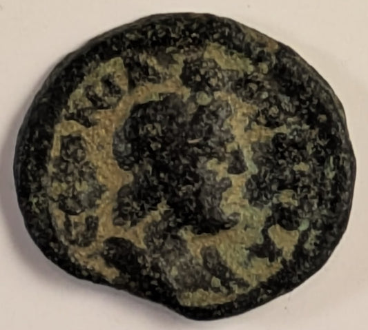 ARABIA, Bostra, Julia Mamaea, mother of Severus Alexander ~ AE19 (3.61g) ~ Her bust right ~ Bust of Zeus-Ammon right, disk on top of head ~ Ros-47, Sp-52 ~ VG/F