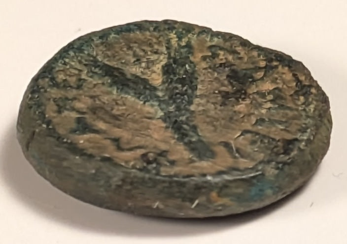 SAMARIA, Neapolis ~ Domitian. 81-96 ~ Æ16 (3.96g) ~ Laureate bust right ~ Two ears of grain on 1 stal, LEI = year 15 = 86/87 AD. Usually seen dated year 11. ~ Ros-6,  ~ F, porous, obv. o.c.