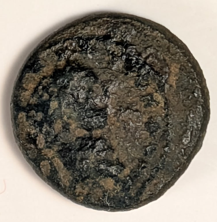 SAMARIA, Neapolis ~ Domitian. 81-96 ~ Æ16 (3.96g) ~ Laureate bust right ~ Two ears of grain on 1 stal, LEI = year 15 = 86/87 AD. Usually seen dated year 11. ~ Ros-6,  ~ F, porous, obv. o.c.