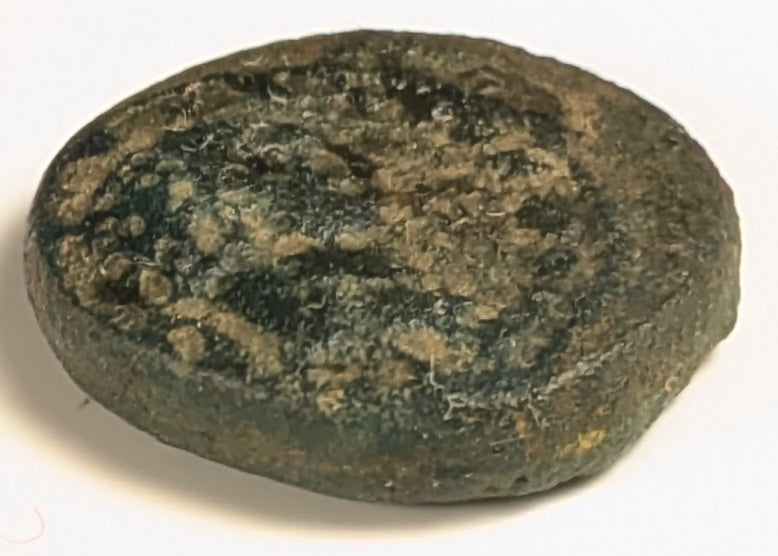 SAMARIA, Neapolis ~ Domitian. 81-96 ~ Æ16 (3.96g) ~ Laureate bust right ~ Two ears of grain on 1 stal, LEI = year 15 = 86/87 AD. Usually seen dated year 11. ~ Ros-6,  ~ F, porous, obv. o.c.