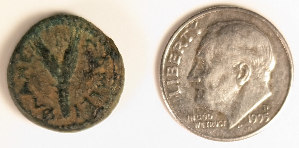 SAMARIA, Neapolis ~ Domitian. 81-96 ~ Æ16 (3.96g) ~ Laureate bust right ~ Two ears of grain on 1 stal, LEI = year 15 = 86/87 AD. Usually seen dated year 11. ~ Ros-6,  ~ F, porous, obv. o.c.