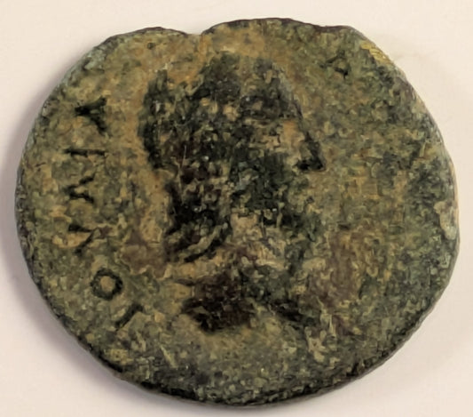 SAMARIA, Neapolis ~ Julia Domna, wife of Septimus Severus ~ AE26 (8.01g) ~ Draped bust right ~ Turreted Tyche standing left in tetra-style temple. Scarce. ~ Ros-28, BMC-84 ~ VG, irreg. flan. porous