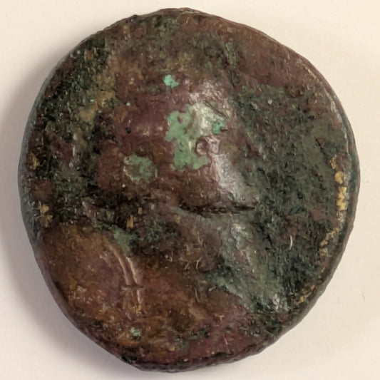 SAMARIA, Neapolis. Domitian ~ 81-96 ~ AE25 (16.25g) ~ Laureate bust right ~ 4-line legend, LEI = Year 15 = 86/87 AD. (Usually seen dated year 11.) ~ Ros-2, RPC-2223 ~ F/aVF, some verdigris