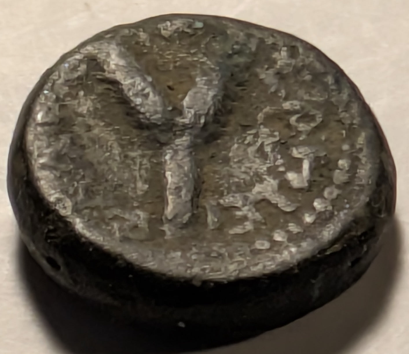 SAMARIA, Neapolis, Domitian ~ 81-96 ~ AE16 (5.05g) ~ Laureate bust right ~ Two ears of grain on 1 stal, LEI = year 15 = 86/87 AD. Usually seen dated year 11. ~ Ros-6 ~ G/VG, obv. o.c.