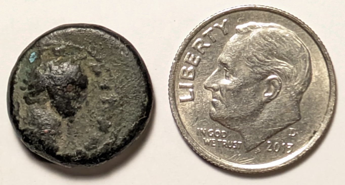 SAMARIA, Neapolis, Domitian ~ 81-96 ~ AE16 (5.05g) ~ Laureate bust right ~ Two ears of grain on 1 stal, LEI = year 15 = 86/87 AD. Usually seen dated year 11. ~ Ros-6 ~ G/VG, obv. o.c.