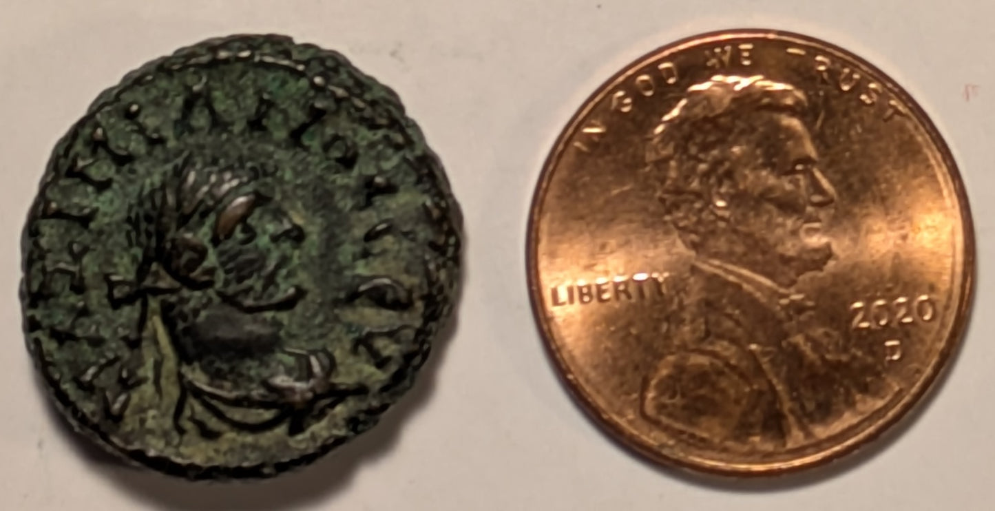 ROMAN EGYPT, Maximianus ~ 286-310 AD ~ Bi Tetradrachm (7.94g) ~ Laurate and draped bust right ~ Eirene standing left, holding scepter & olive-branch in right hand, L - H, year 8=292-293 AD, △ ~ C-unlisted date, E-4113 ~ EF, Scarce