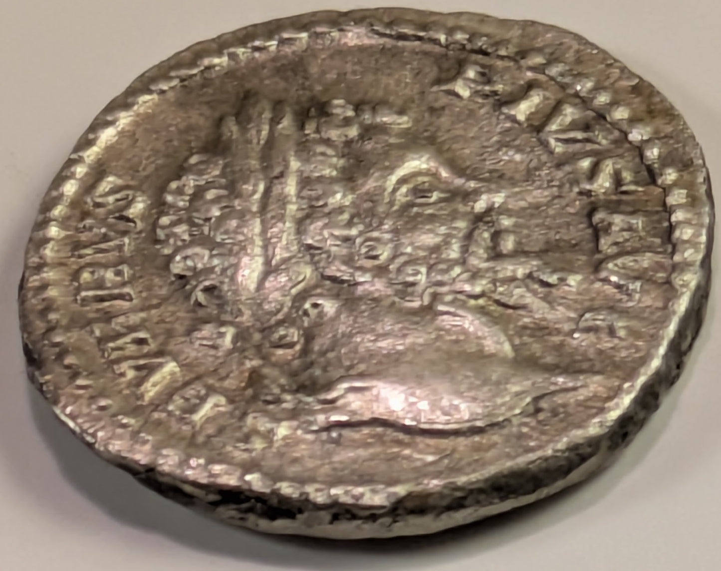 ROME, Septimius Severus ~ 193-211 AD (205) ~ Silver Denarius (2.54g) ~ Laureate bearded bust right ~ Annona standing facing, head left, holding grain ears over modius & cornucopia ~ PM TRP XIII ~ RSC-472, RIC-198 ~ Toned VF, reverse a bit porous