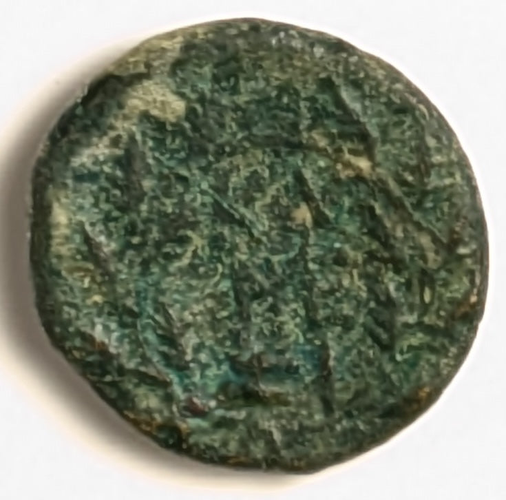 MYSIA, Cyzicus ~ 2nd-1st Century BC ~ Æ17 (4.52g) ~ Head of Kore Soteira in wreathed in corn right ~ KY ZI in oak-wreath, NIE monogram in center ~ SNG Cop-71 ~ Ch. VF, nice green patina