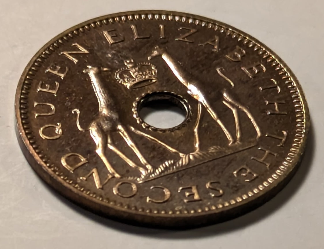 RHODESIA & NYASALAND, Federation ~ 1955 ~ 1/2 Penny ~ Scarce in proof ~ Y-1, KM-1 ~ Choice Proof