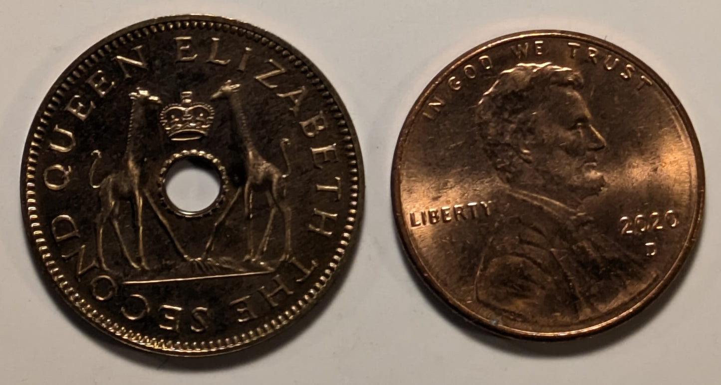 RHODESIA & NYASALAND, Federation ~ 1955 ~ 1/2 Penny ~ Scarce in proof ~ Y-1, KM-1 ~ Choice Proof