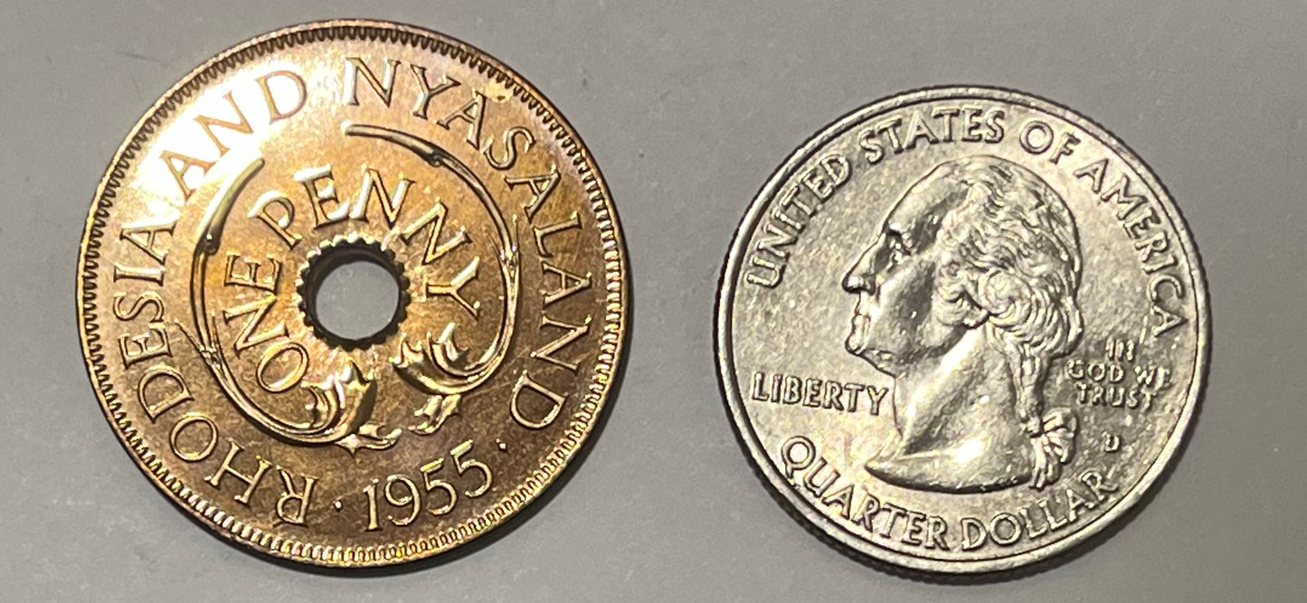 RHODESIA & NYASALAND, Federation ~ 1955 ~ Penny ~ Scarce in proof ~ Baldwins 9/13 sim at 200 pounds (+premium) ~ Y-2, KM-2 ~ Gem Proof