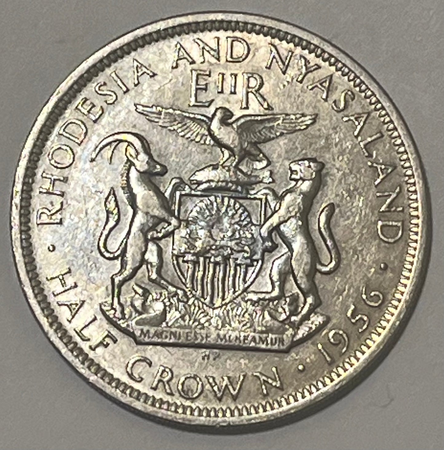 RHODESIA & NYASALAND, Federation ~ 1956 ~ 1/2 Crown ~ Queen Elizabeth II right ~ Coat of arms of R&N ~ Y-7, KM-7 ~ EF