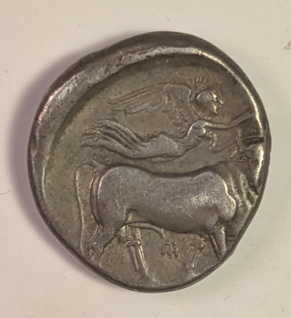 CAMPANIA, Neapolis ~ 325-241 BC ~ Silver Didrachm (7.41) ~ Head of nymph right. behind in Artemis-Hekate (head off-flan) ~ Man-headed bull right, being crowned by Nike, small monogram below ~ SG-308, SNG Cop-419 ~ Fine+, but a bit o.c., curved obv. s