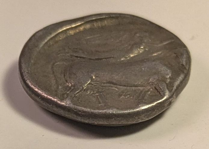 CAMPANIA, Neapolis ~ 325-241 BC ~ Silver Didrachm (7.41) ~ Head of nymph right. behind in Artemis-Hekate (head off-flan) ~ Man-headed bull right, being crowned by Nike, small monogram below ~ SG-308, SNG Cop-419 ~ Fine+, but a bit o.c., curved obv. s