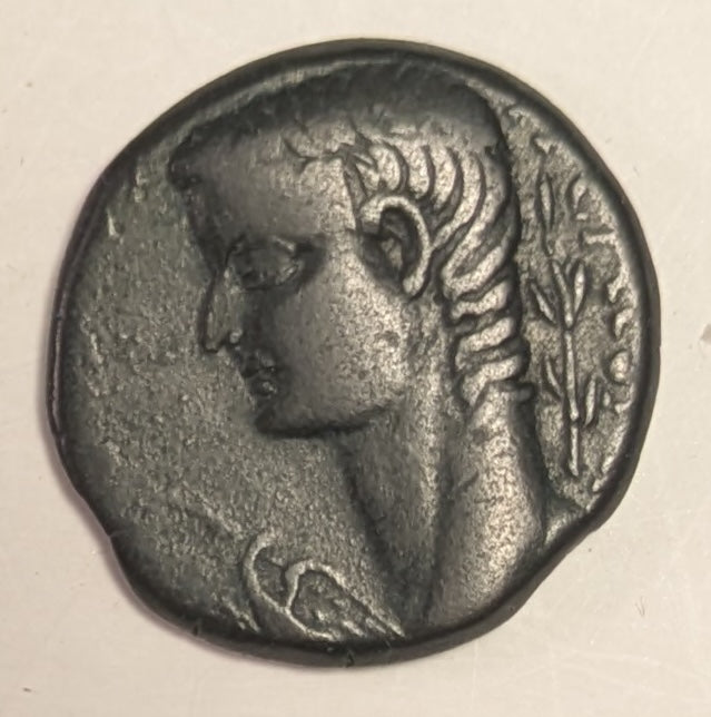 NORTH AFRICA, Syrtica: OEA ~ Tiberius. 14-37 AD ~ Æ26 (11.35g) ~ Bare head of Tiberius left, eagle in front, palm branch behind head ~ Head of Apollo right, lyre at neck, punic letters behind ~ SNG Cop-31, RPC-832 ~ aVF