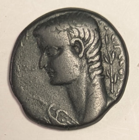 NORTH AFRICA, Syrtica: OEA ~ Tiberius. 14-37 AD ~ Æ26 (11.35g) ~ Bare head of Tiberius left, eagle in front, palm branch behind head ~ Head of Apollo right, lyre at neck, punic letters behind ~ SNG Cop-31, RPC-832 ~ aVF