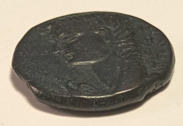 NORTH AFRICA, Syrtica: OEA ~ Tiberius. 14-37 AD ~ Æ26 (11.35g) ~ Bare head of Tiberius left, eagle in front, palm branch behind head ~ Head of Apollo right, lyre at neck, punic letters behind ~ SNG Cop-31, RPC-832 ~ aVF