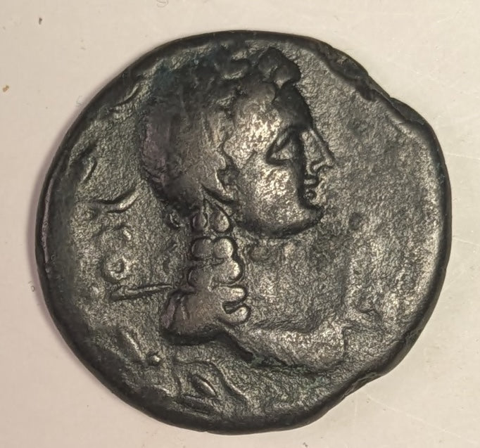 NORTH AFRICA, Syrtica: OEA ~ Tiberius. 14-37 AD ~ Æ26 (11.35g) ~ Bare head of Tiberius left, eagle in front, palm branch behind head ~ Head of Apollo right, lyre at neck, punic letters behind ~ SNG Cop-31, RPC-832 ~ aVF
