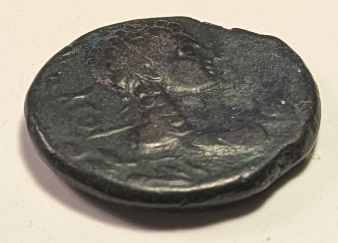 NORTH AFRICA, Syrtica: OEA ~ Tiberius. 14-37 AD ~ Æ26 (11.35g) ~ Bare head of Tiberius left, eagle in front, palm branch behind head ~ Head of Apollo right, lyre at neck, punic letters behind ~ SNG Cop-31, RPC-832 ~ aVF