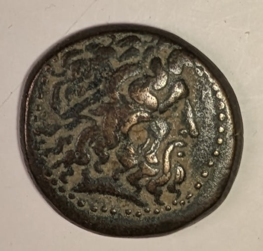 PTOLEMAIC EGYPT, Ptolemy III, Euergetes ~ 246-221 BC ~ Æ19 (5.27g) of Tyre ~ Head of Zeus Ammon right. Wolf attributes to PIII, SNG & Svo say PII ~ Eagle standing left on thunderbolt, club to left ~ SNG Cop-496-497, Svo0 709-710 ~ Ch. VF, nice portrait