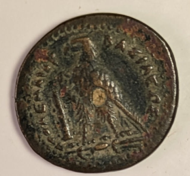 PTOLEMAIC EGYPT, Ptolemy III, Euergetes ~ 246-221 BC ~ Æ19 (5.27g) of Tyre ~ Head of Zeus Ammon right. Wolf attributes to PIII, SNG & Svo say PII ~ Eagle standing left on thunderbolt, club to left ~ SNG Cop-496-497, Svo0 709-710 ~ Ch. VF, nice portrait