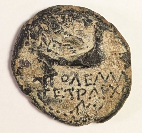 SYRIA, COELE-SYRIA, Dynasts of Chalkis. Ptolemy ~  c. 85-40 BC ~ Æ19 (5.33g) ~  Laureate head of Zeus right ~ c/m of Cleopatra VII (?) right ~ Eagle flying right. Attribution of c/m to Cleopatra is speculative ~ BMC-20, 2, Lindgren III-1230 ~ Fine