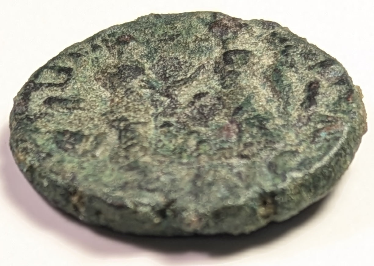 JUDAEA, Gaza, Septemius Severus ~ 193-211 ~ Æ22.5, (8.87g) ~ His bust right ~ Io and city-goddess ~ Ros-138 ~ aVF, deep green patina