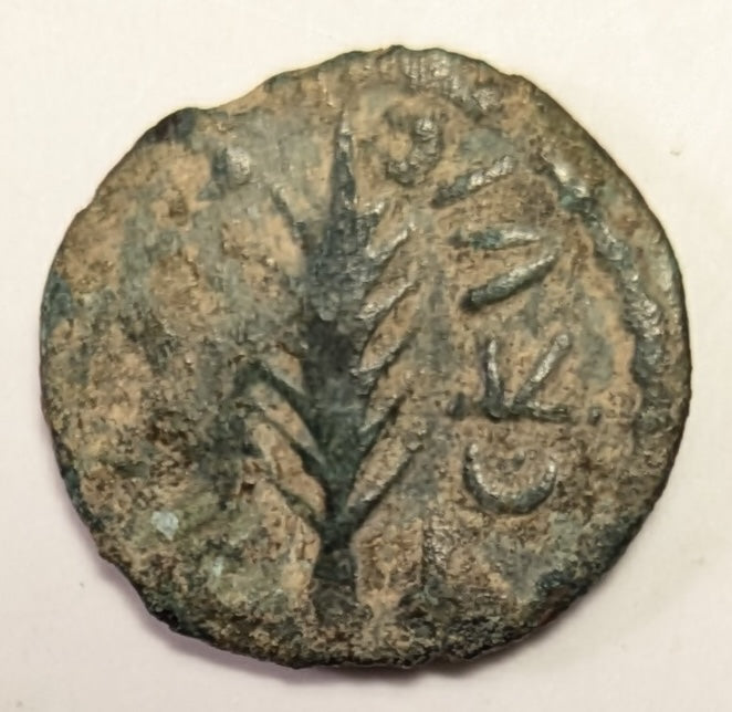 JUDAEA, Porcius Festus, Procurator under ~ Nero. 59-62 ~ Æ Prutah (1.72g) ~ Legend with wreath. (Virtually unreadable) ~ Retrograde legend around palm branch LE KAICAPOC (clear) ~ H-1351e ~ Poor/aVF