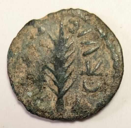 JUDAEA, Porcius Festus, Procurator under ~ Nero. 59-62 ~ Æ Prutah (1.72g) ~ Legend with wreath. (Virtually unreadable) ~ Retrograde legend around palm branch LE KAICAPOC (clear) ~ H-1351e ~ Poor/aVF