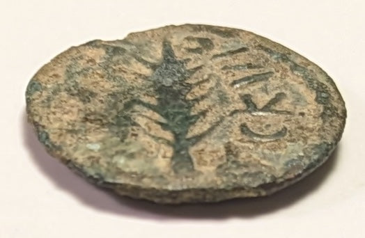 JUDAEA, Porcius Festus, Procurator under ~ Nero. 59-62 ~ Æ Prutah (1.72g) ~ Legend with wreath. (Virtually unreadable) ~ Retrograde legend around palm branch LE KAICAPOC (clear) ~ H-1351e ~ Poor/aVF