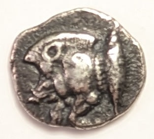 MYSIA, Cyzicus ~ 480-400 BC ~ AR Trihemitartemorion (.29g) ~ Forepart of running boar left, tunny behind ~ Head of lion left, mouth open, in incuse square. Tiny denomination = 3/8 of an obol ~ cf.BMC-120v ~ Toned VF