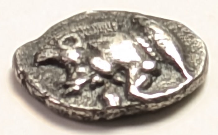 MYSIA, Cyzicus ~ 480-400 BC ~ AR Trihemitartemorion (.29g) ~ Forepart of running boar left, tunny behind ~ Head of lion left, mouth open, in incuse square. Tiny denomination = 3/8 of an obol ~ cf.BMC-120v ~ Toned VF