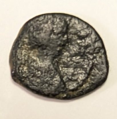 VANDALS, Gelimer ~ 530-533 ~ Nummus or 2 1/2 Nummi Æ11 (.85g) ~ His bust right, Found in El Djen, Tunisia ~ Monogram of Gelimer ~ MEC-30, BMC-5, MIB-25 ~ VG/F+