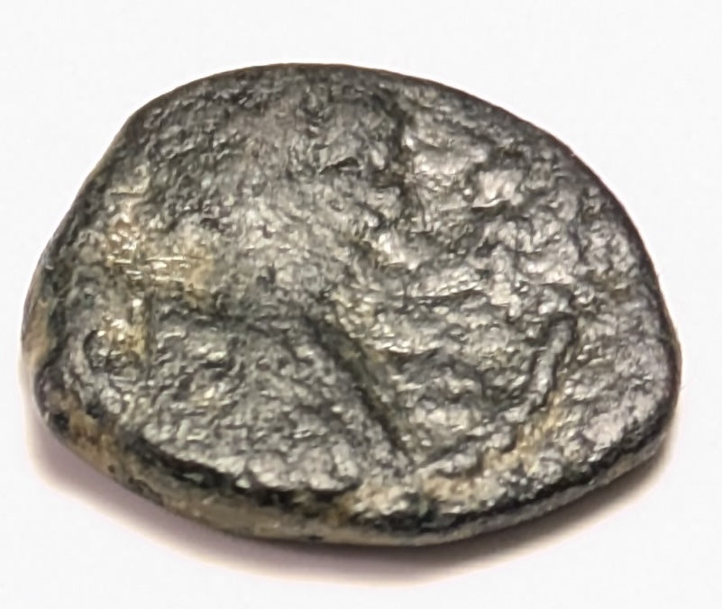 VANDALS, Gelimer ~ 530-533 ~ Nummus or 2 1/2 Nummi Æ11 (.85g) ~ His bust right, Found in El Djen, Tunisia ~ Monogram of Gelimer ~ MEC-30, BMC-5, MIB-25 ~ VG/F+