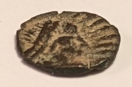 VANDALS, Thrasamund ~ North Africa. 496-523 ~ Æ Nummus 9 mm, .38g ~ Bust of Thrasamund right ~ Victory advancing left ~ MEC-19, MIB-16, BMC-55 ~ Nice VF