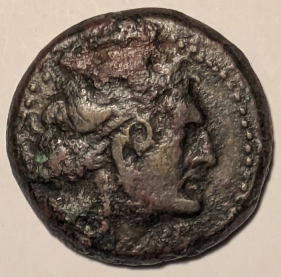 PTOLEMAIC EGYPT, Cyrenaica, Ptolemy IV to Ptolemy VIII ~ 221-140 BC ~ Æ22 (7.43g) ~ Diademed head of Ptolemy I right in dotted border ~ Female head (Libya?) right, cornucoia below chin ~ SNG Cop-442, SG-7882 ~ Fine, some encrustation and light scr’s
