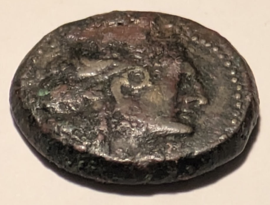 PTOLEMAIC EGYPT, Cyrenaica, Ptolemy IV to Ptolemy VIII ~ 221-140 BC ~ Æ22 (7.43g) ~ Diademed head of Ptolemy I right in dotted border ~ Female head (Libya?) right, cornucoia below chin ~ SNG Cop-442, SG-7882 ~ Fine, some encrustation and light scr’s
