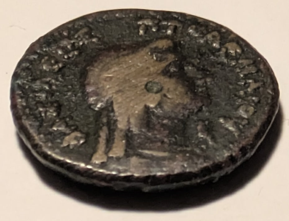 PTOLEMAIC EGYPT, Cyrenaica, Ptolemy IV to Ptolemy VIII ~ 221-140 BC ~ Æ22 (7.43g) ~ Diademed head of Ptolemy I right in dotted border ~ Female head (Libya?) right, cornucoia below chin ~ SNG Cop-442, SG-7882 ~ Fine, some encrustation and light scr’s