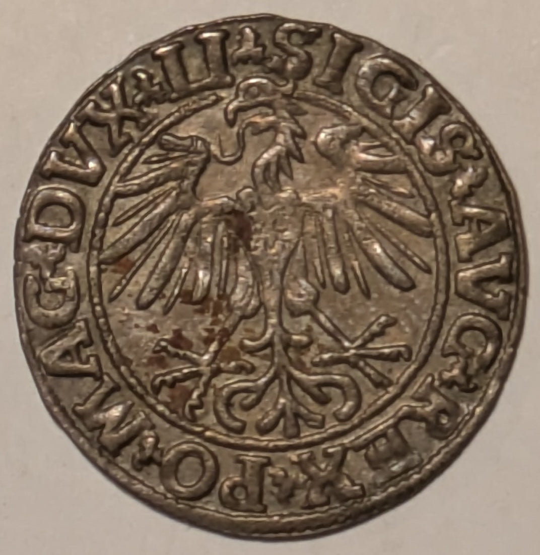 LITHUANIA, Sigismund Augustus of Poland ~ 1550 ~ Half Groschen ~ Standing eagle head left ~ Knight on horse standing left, date below ~ Gum-598 ~ Ch. toned Au-unc