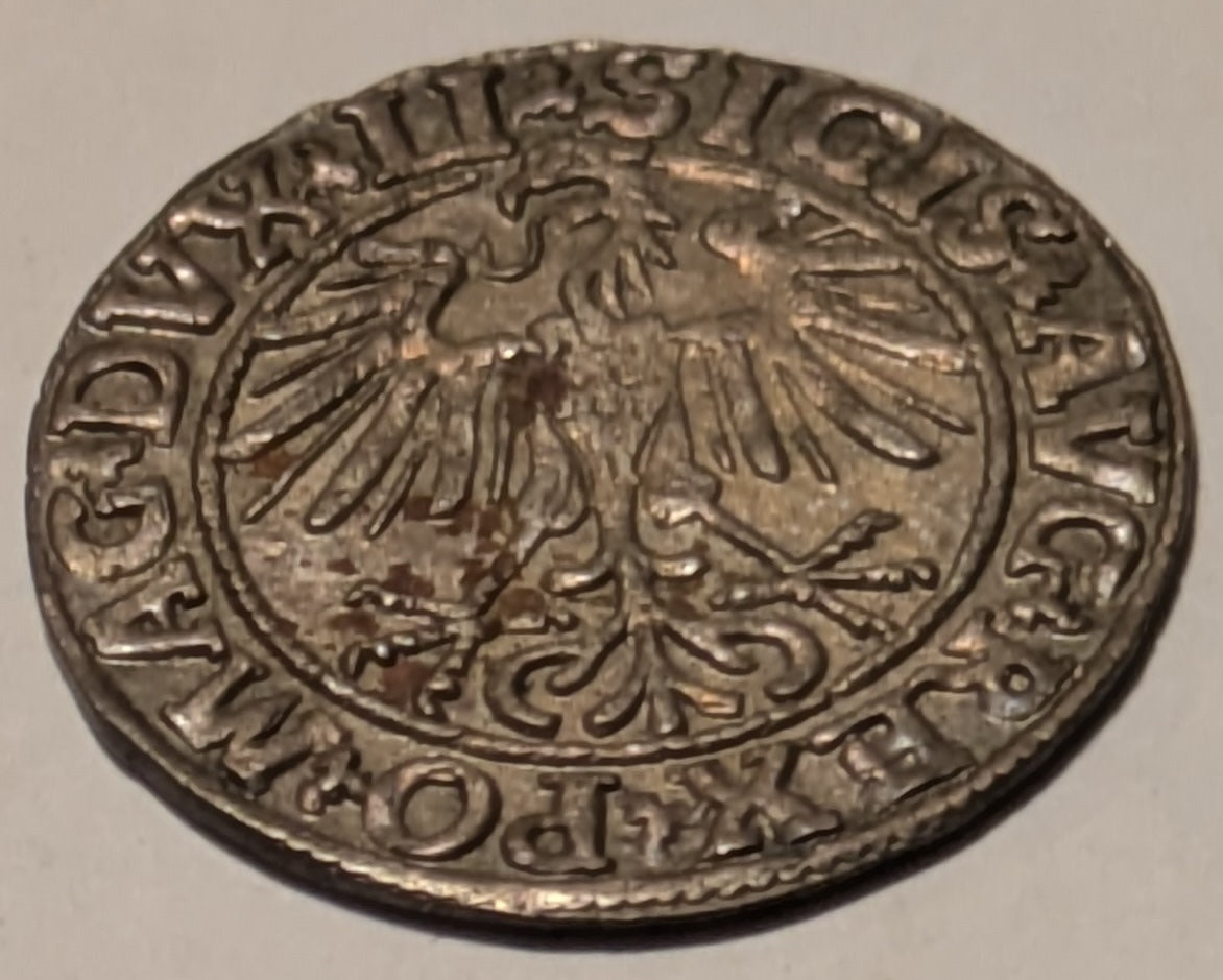 LITHUANIA, Sigismund Augustus of Poland ~ 1550 ~ Half Groschen ~ Standing eagle head left ~ Knight on horse standing left, date below ~ Gum-598 ~ Ch. toned Au-unc