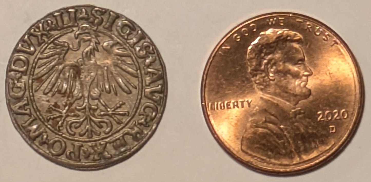 LITHUANIA, Sigismund Augustus of Poland ~ 1550 ~ Half Groschen ~ Standing eagle head left ~ Knight on horse standing left, date below ~ Gum-598 ~ Ch. toned Au-unc